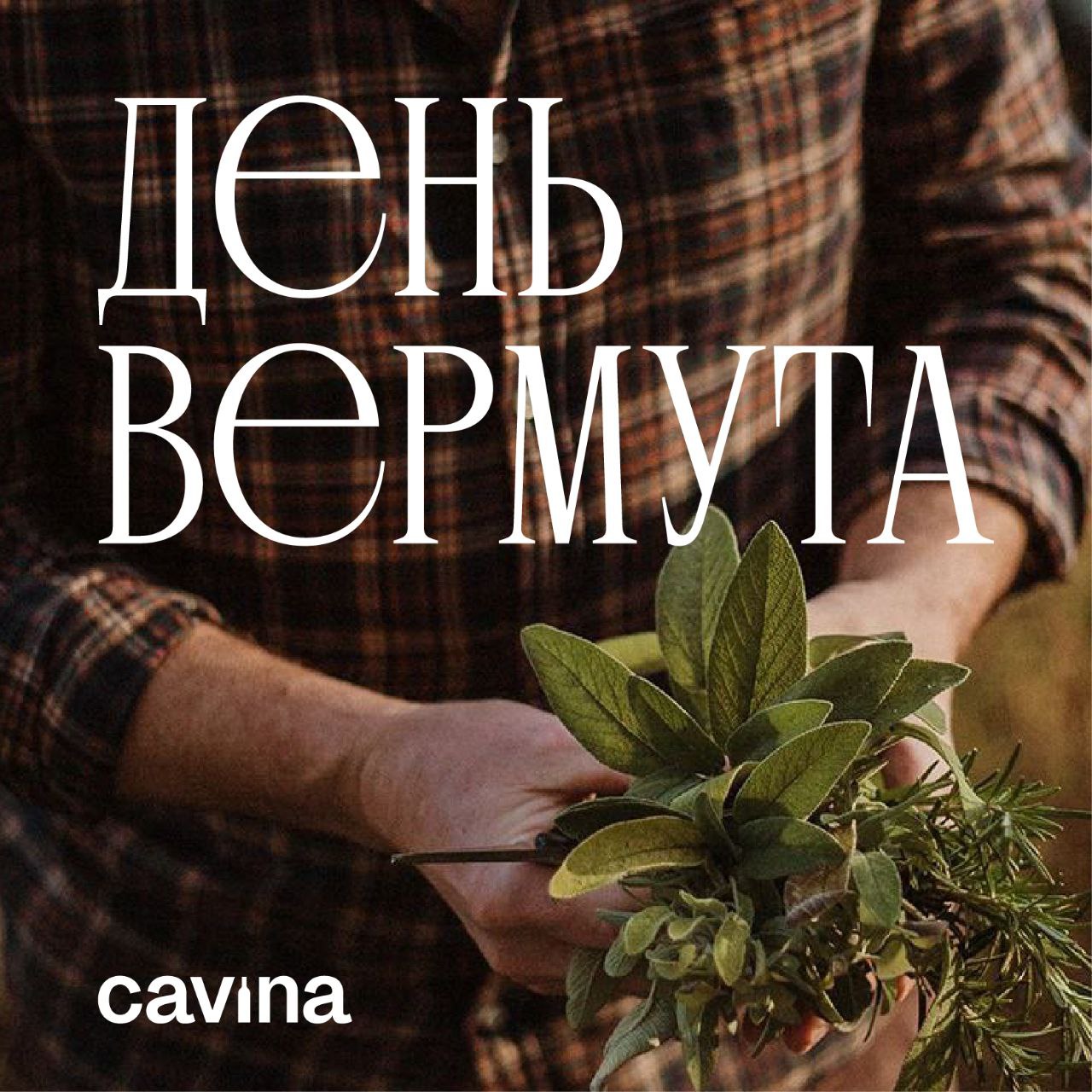 День вермута