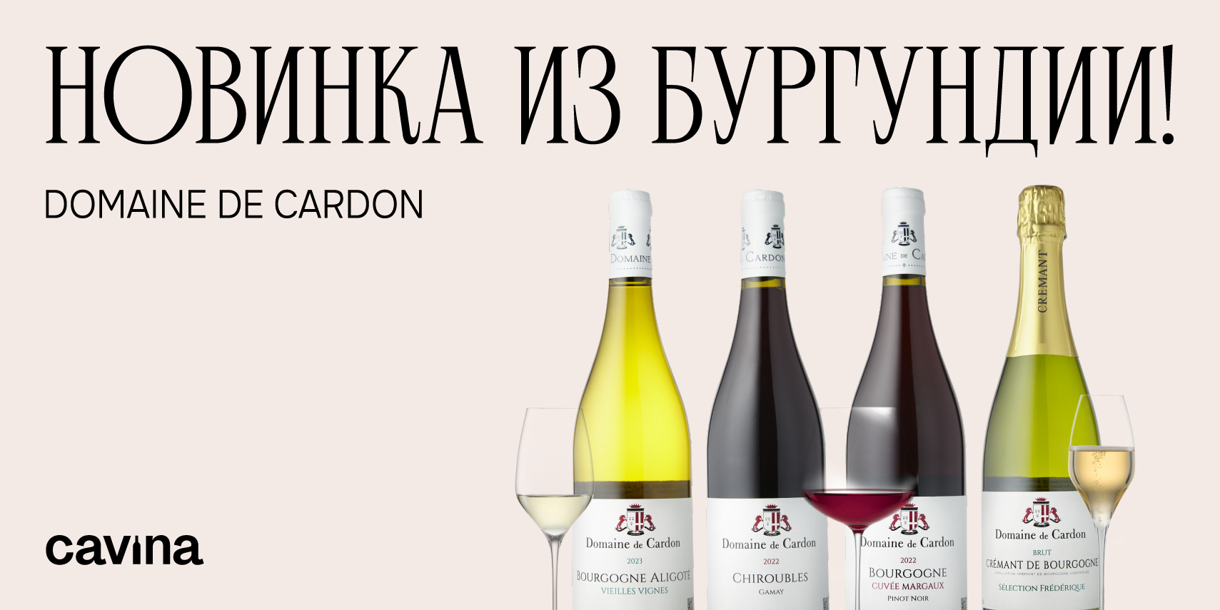 НОВИНКА ИЗ БУРГУНДИИ