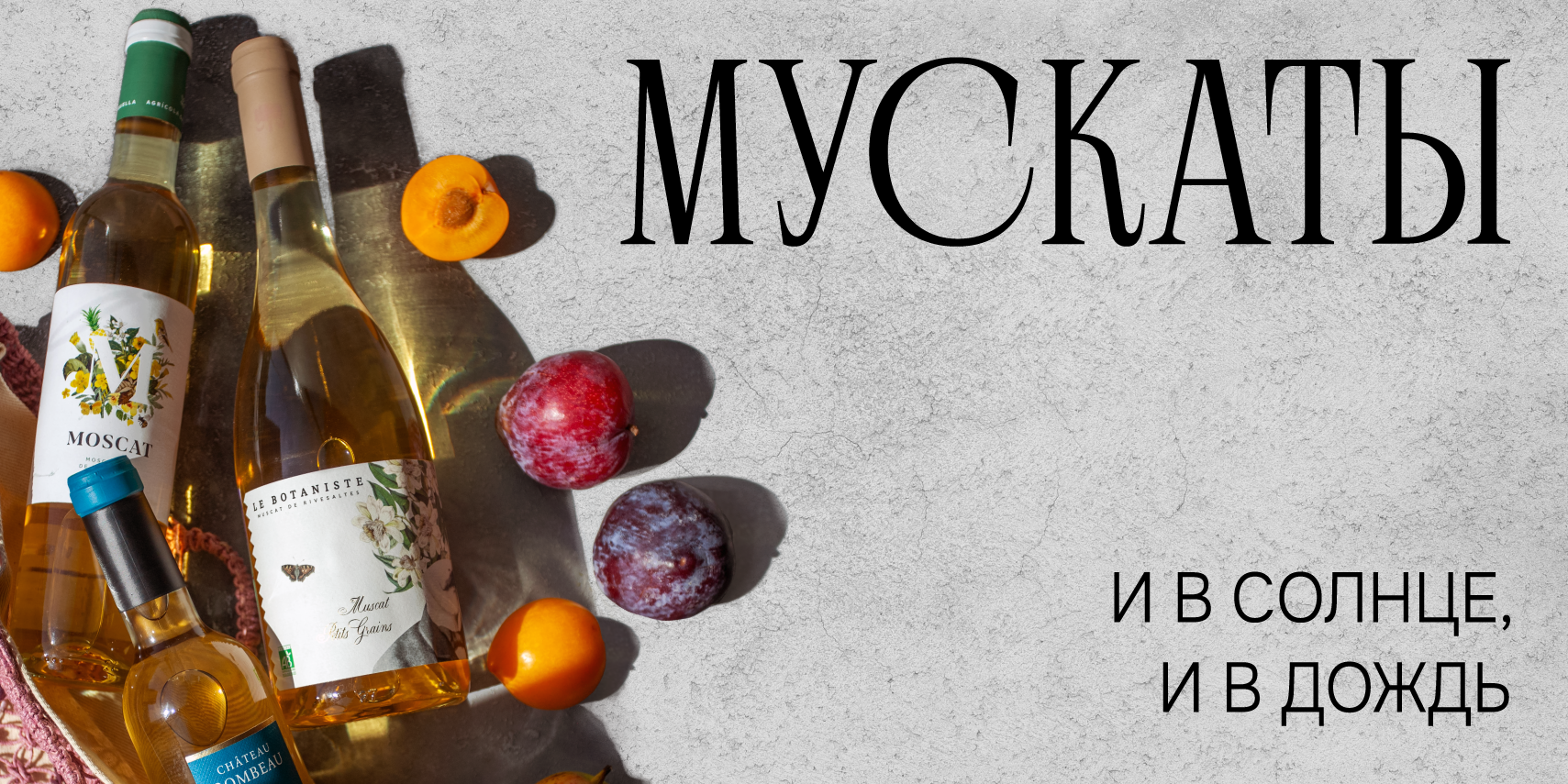 МУСКАТЫ И В СОЛНЦЕ, И В ДОЖДЬ