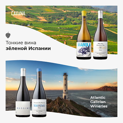 Тонкие вина зеленой Испании